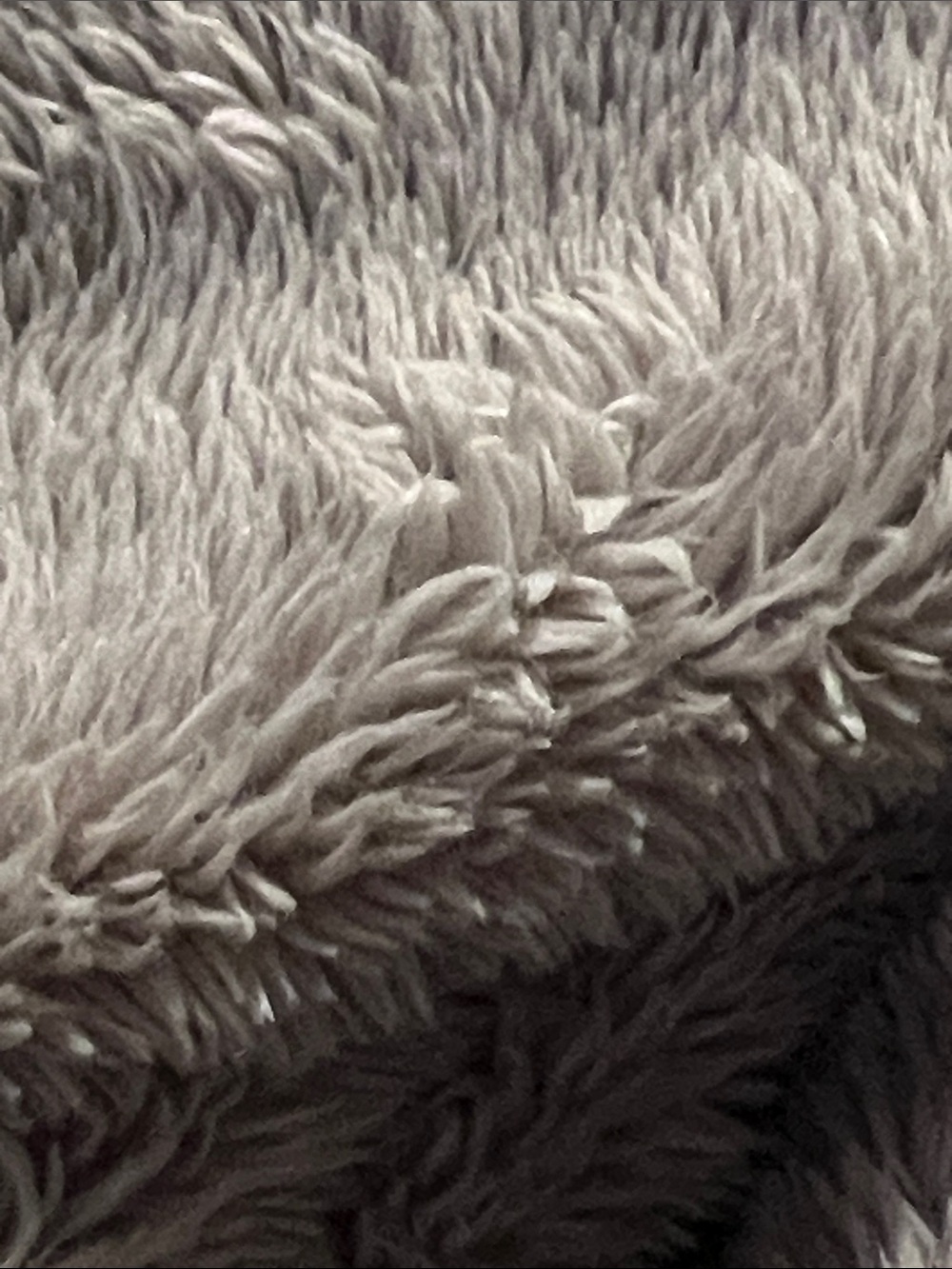 Soft Plush Throw Blanket - Taupe